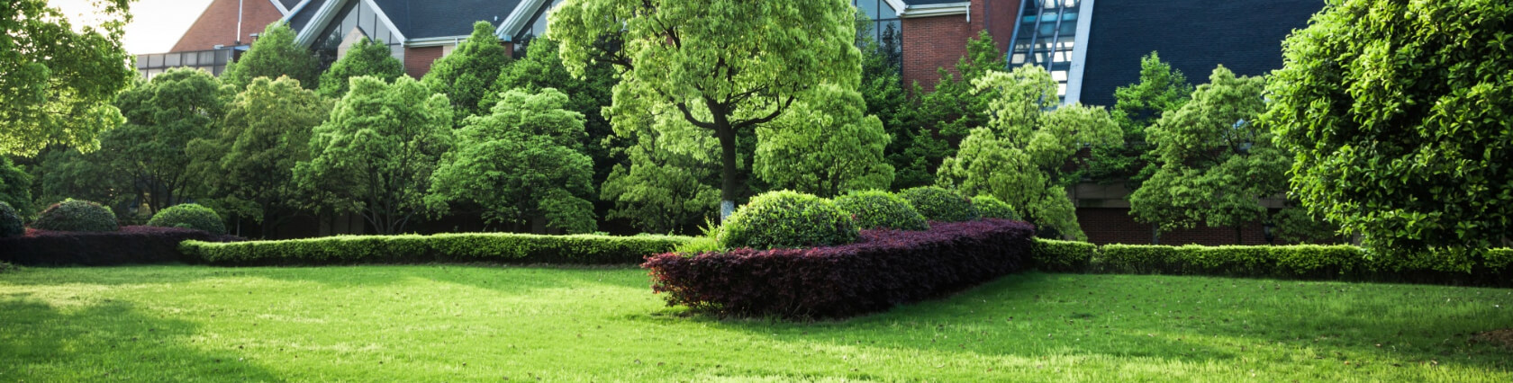 Lawn Care Services North Syracuse NY