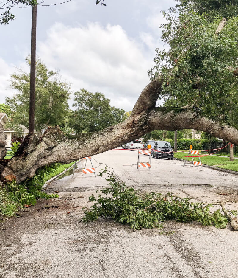 Storm Cleanup North Syracuse NY