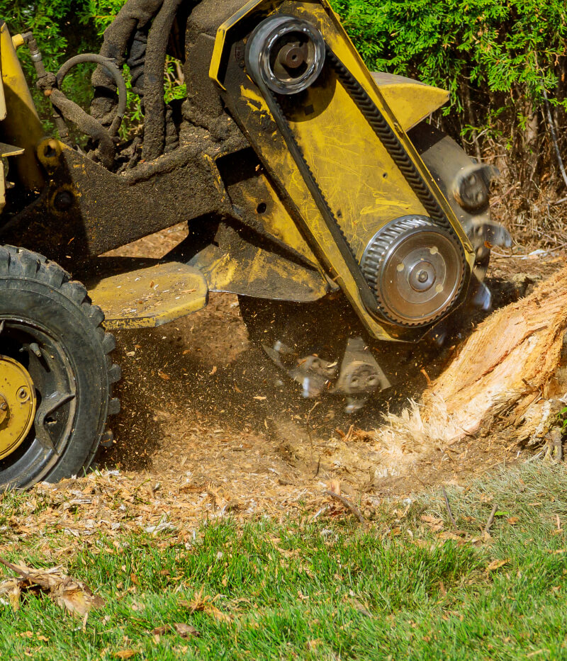 Stump Grinding North Syracuse NY