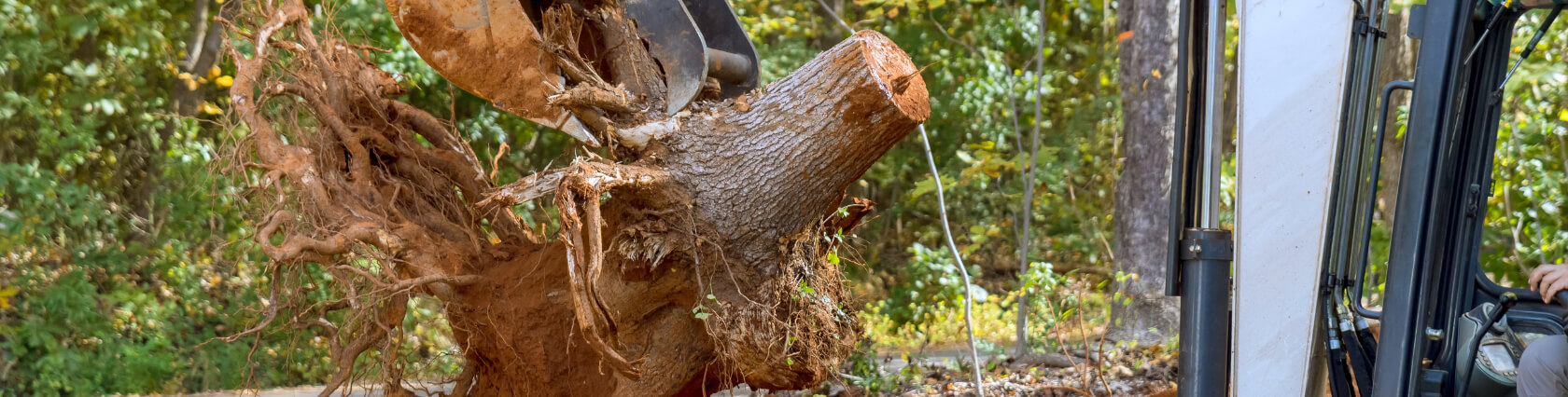 Stump Removal Service Clay NY