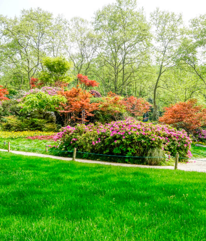 Landscaping Services Liverpool NY